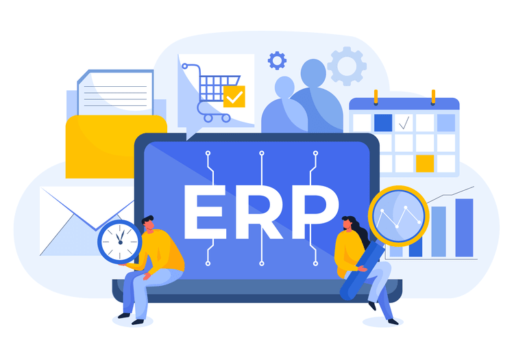 Custom ERP vs SaaS: Scaling Your Business Without Subscription Tax